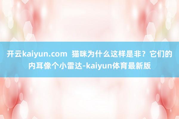 开云kaiyun.com  猫咪为什么这样是非？它们的内耳像个小雷达-kaiyun体育最新版