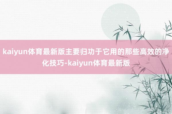 kaiyun体育最新版主要归功于它用的那些高效的净化技巧-kaiyun体育最新版