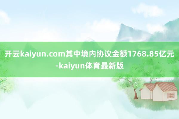 开云kaiyun.com其中境内协议金额1768.85亿元-kaiyun体育最新版