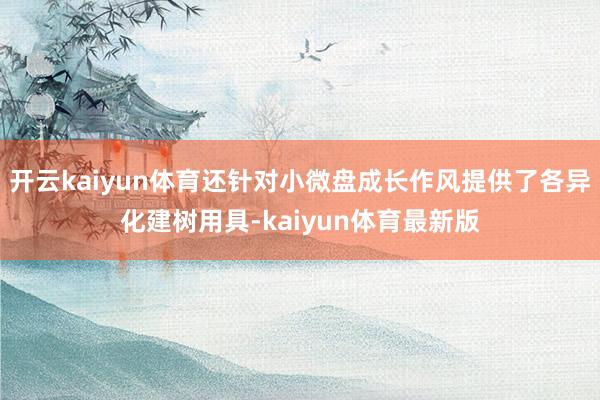 开云kaiyun体育还针对小微盘成长作风提供了各异化建树用具-kaiyun体育最新版