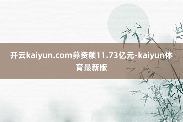 开云kaiyun.com募资额11.73亿元-kaiyun体育最新版
