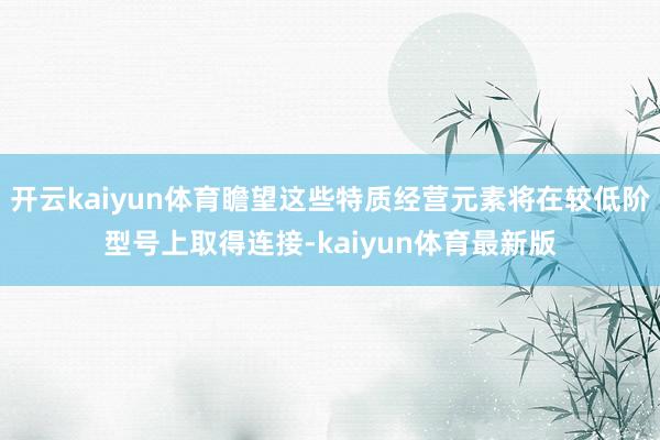 开云kaiyun体育瞻望这些特质经营元素将在较低阶型号上取得连接-kaiyun体育最新版