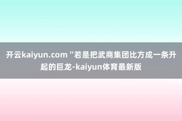 开云kaiyun.com“若是把武商集团比方成一条升起的巨龙-kaiyun体育最新版