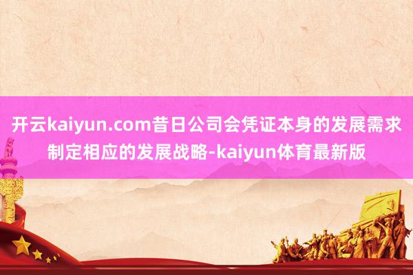 开云kaiyun.com昔日公司会凭证本身的发展需求制定相应的发展战略-kaiyun体育最新版