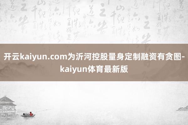 开云kaiyun.com为沂河控股量身定制融资有贪图-kaiyun体育最新版