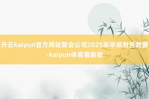 开云kaiyun官方网站聚会公司2025年年报财务数据-kaiyun体育最新版