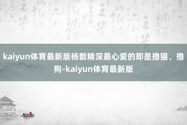 kaiyun体育最新版杨戬精深最心爱的即是撸猫、撸狗-kaiyun体育最新版