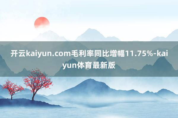 开云kaiyun.com毛利率同比增幅11.75%-kaiyun体育最新版